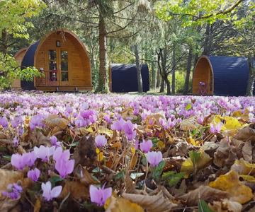 Les Cabanes Des Chateaux