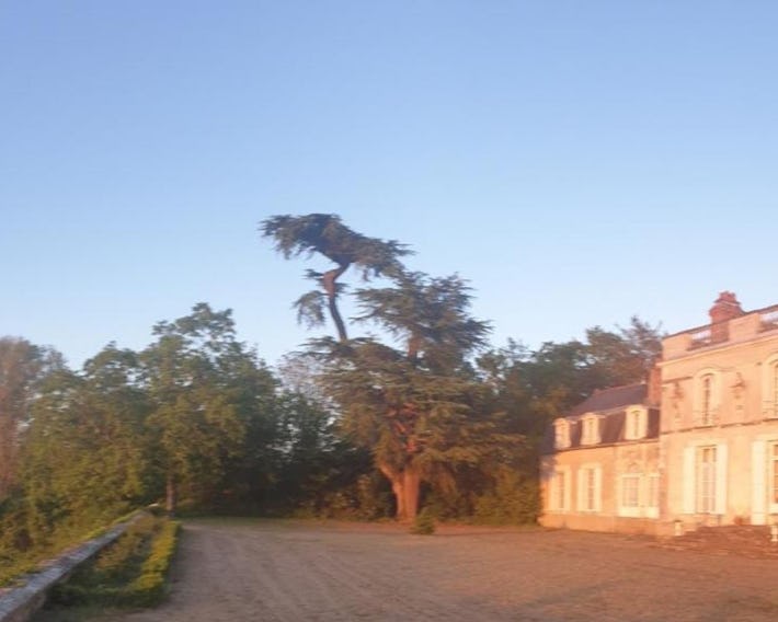 Chateau des Colliers