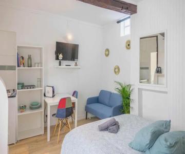 Studio Rue piétonne Orléans