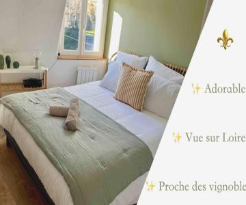 Rochecorbon - Bouchon De Loire