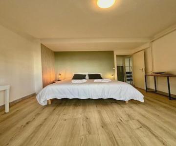 Loft avec parking centre Tours et bord du Cher Loire Valley