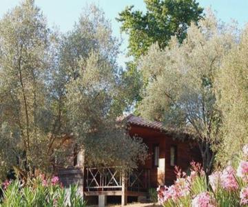 Gites Chalets De Grosseto-prugna