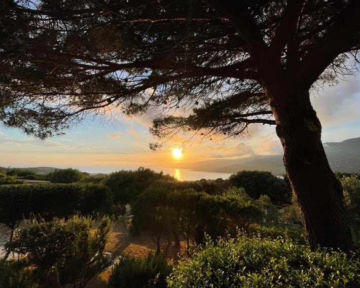 Résidence île de beauté