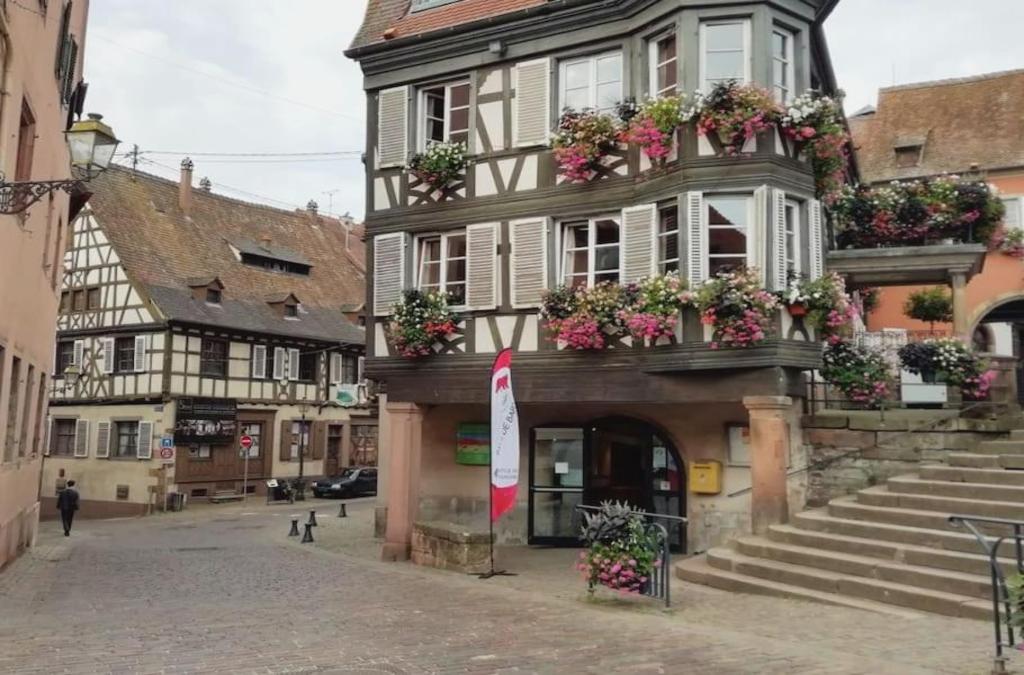 Appartement cosy - Centre de Barr - Route des Vins