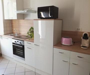 Appartement avec jardin à Colmar