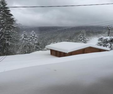 chalet "le Refuge du Brabant"
