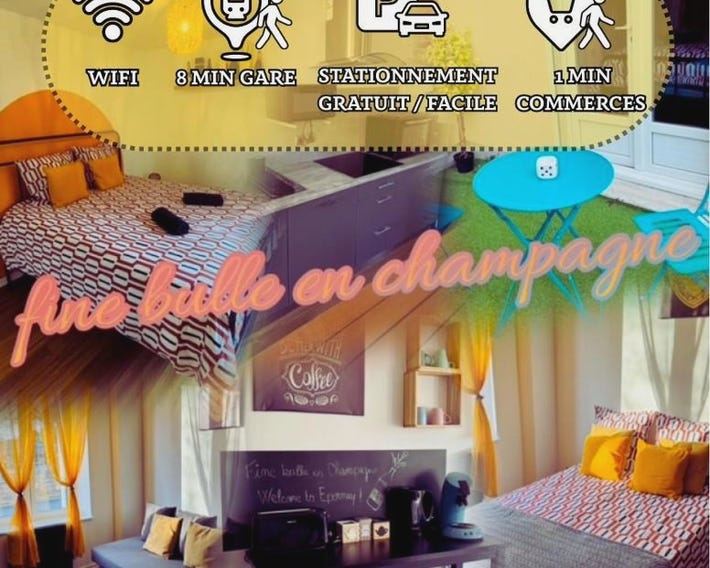 Fine bulle en Champagne - 1 chambre - Terrasse - RDC - Parking - centre ville