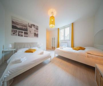 Very nice apartment - downtown Mulhouse Le 42