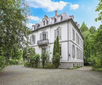 Exceptionnels Studio, Maison De Maître, Parking Gratuit Sur Place, Mulhouse Centre