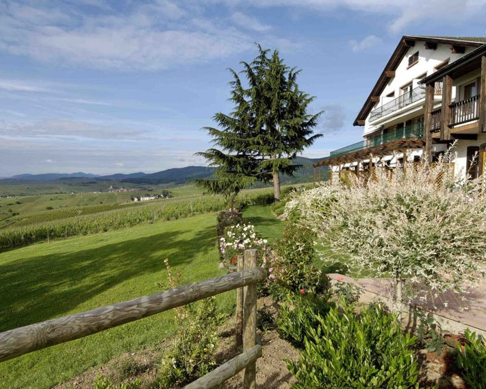 Le Clos Saint-Vincent