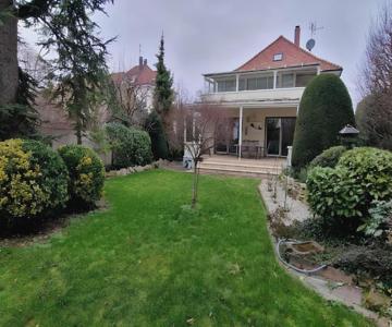 Steps from Basel and Train Spacious 120 m2 Apartment in Saint Louis with Terrace and Garden