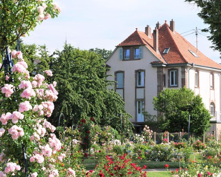 Le Jardin Des Roses