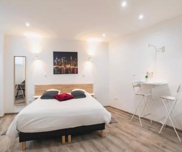 Citycosy Strasbourg - Studio Hirtz Orangerie