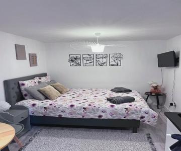 Le Patcho Charmant studio Confortable & Chaleureux , idéalement situé proche centre ville Quartier N
