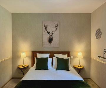 Chambre Forêt