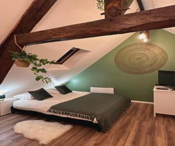 Le Nid Douillet - Hypercentre - Studio