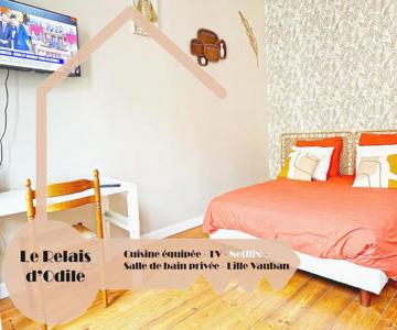 LeRelaisdOdile - Apparts Conforts - LILLE