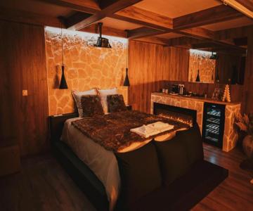 L Alpina Suite avec Sauna et Baignoire - Hyper Centre Lille