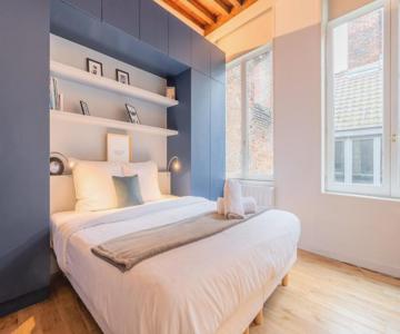 Old Lille Apartment With Cachet Parking