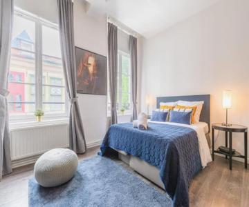 Vieux Lille - Large Modern And Functional Studio