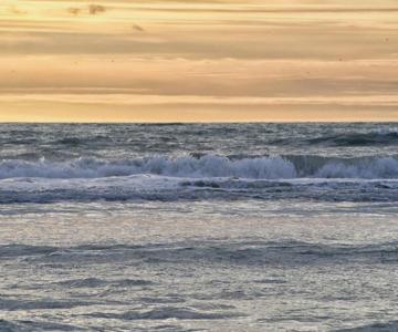 Stella le Touquet Berck T2