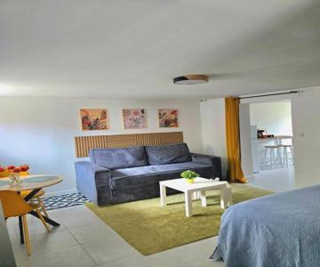 Grand studio cosy proche Paris