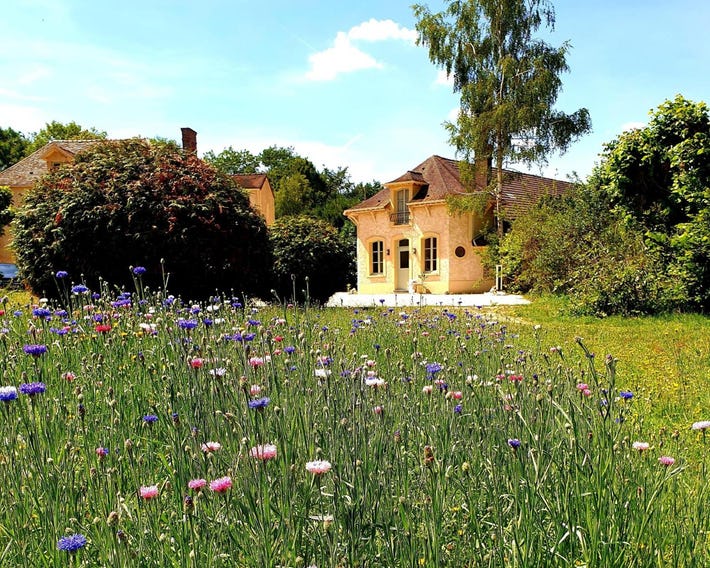 Domaine Les Bruyères