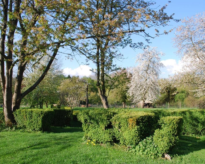 Gites aux Fleurs de Cerises