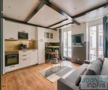 13 Luxury Flat eiffel design 2