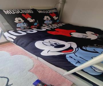 Disney Luxury Studio
