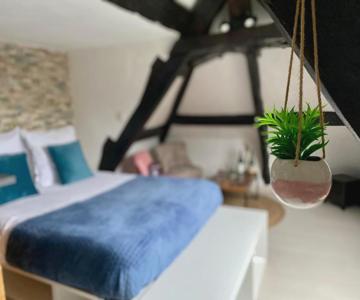 Mon Saint-Martin - APPART-HOTEL - Coeur de Bayeux