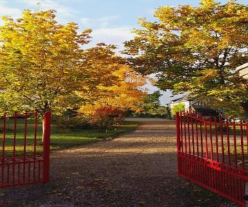 Chambre D'Hotes Le Jardin Des Patissons
