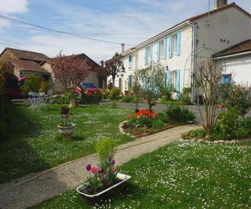 Les Hirondelles Du Paradis