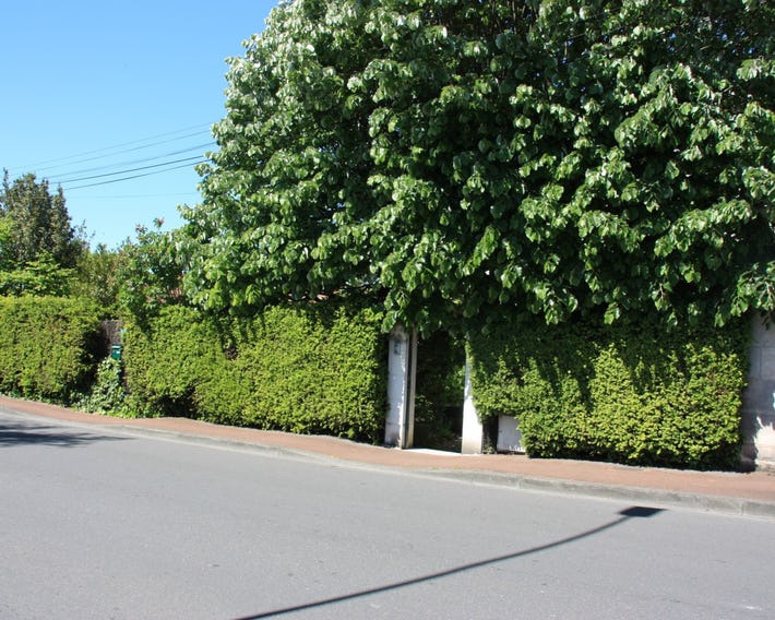 Jardins En Ville
