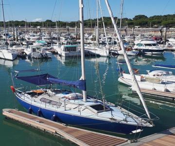 Sailboat land and sea, vegetated