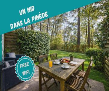 Un Nid Dans La Pinède