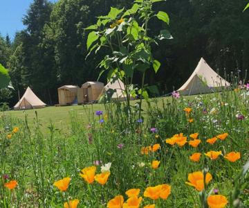 Au Pré Fleuri Eco Glamping