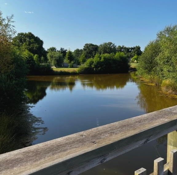 Le Nid du Teich