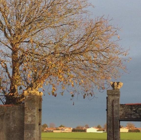 Ferme de Maillezais