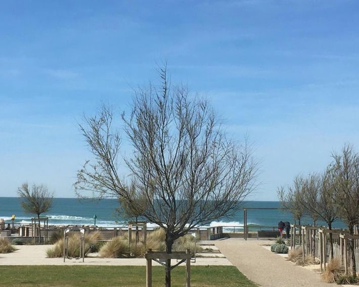 Appartement La Corniche Vue océan