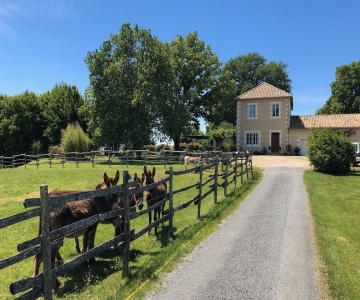 Domaine De Chalamard Chambres D'hôtes