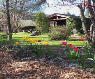 Les Chalets du Roc