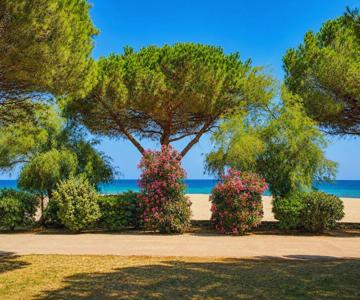 Studio avec jardin front de mer