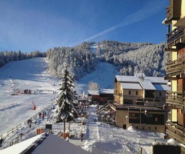 Un Isard Au Pied Des Pistes