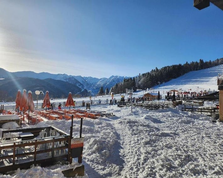 Les Isards Pied des pistes