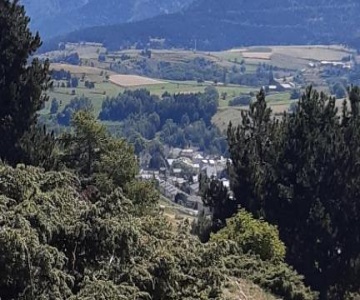 La Chouette