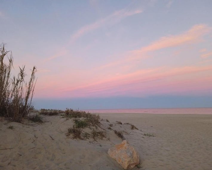T2 climatisé à Canet Plage