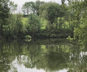Domaine En Castanet