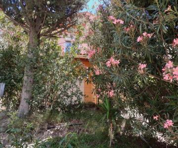 Bel appartement bord de mer