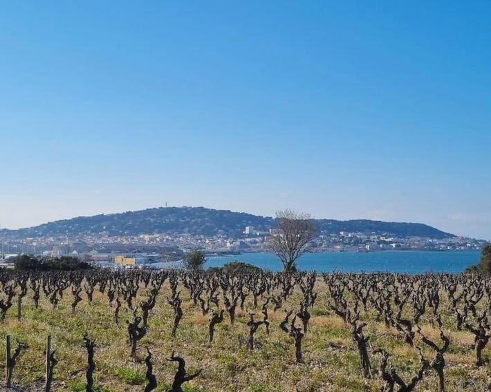 Maison de campagne vue Etang de Thau !